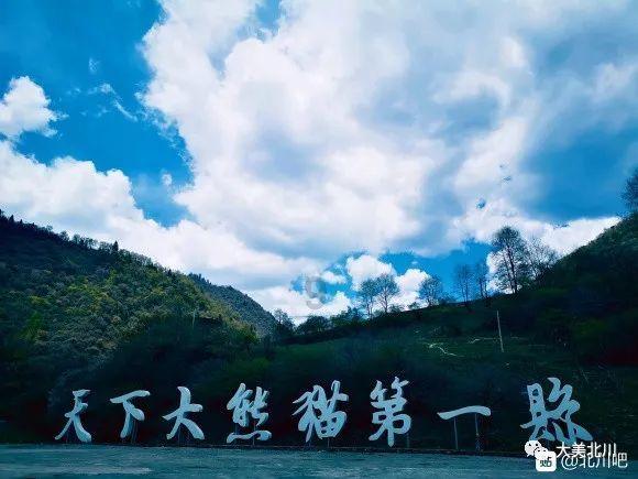 现代战争防御战无敌版
